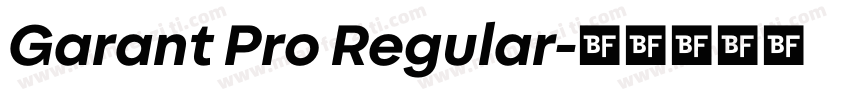 Garant Pro Regular字体转换